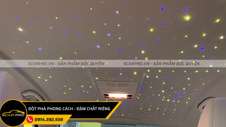 BỌC TRẦN DA BMW 320i